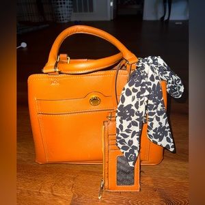 Brown Steve Madden Purse